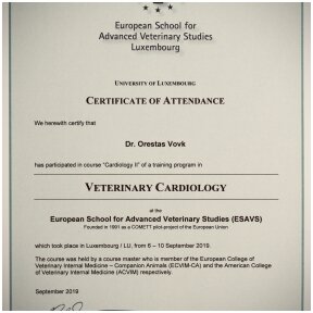 Veterinarijos Gydytojas Kardiologas - Orestas Vovk